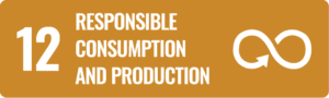 12 - Responsible consumption and production