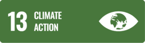13 - Climate action